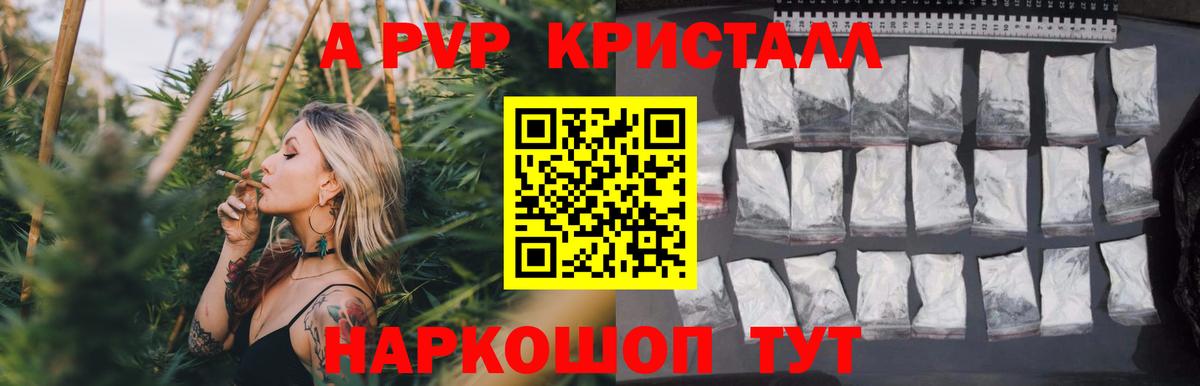 A-PVP СК КРИС Сибай