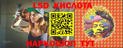 ПСИЛОЦИБИНОВЫЕ ГРИБЫ Новокубанск