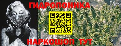 марихуана Новозыбков