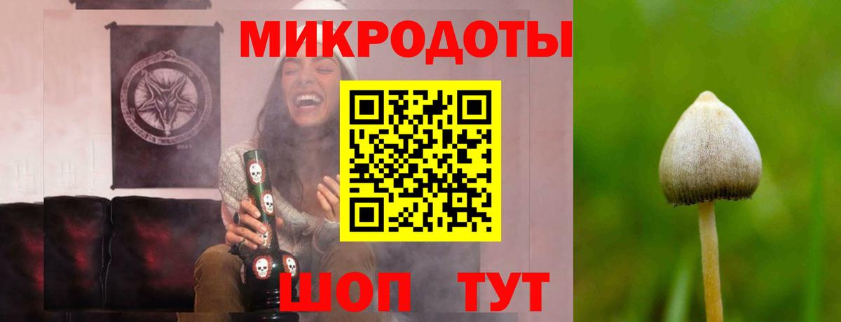 Псилоцибиновые грибы GOLDEN TEACHER  Псилоцибиновые грибы Psilocybe  Сибай  Вход с VPN 